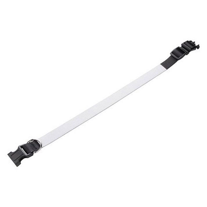 Zgardă personalizată pentru câine