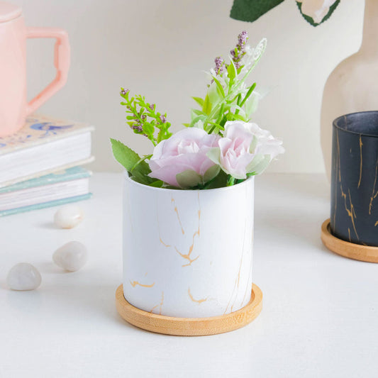 Capac / suport cană pentru infuzie ceai