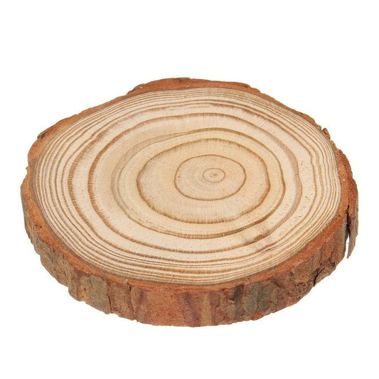 Felie de lemn șlefuită Ø 7cm x 1cm