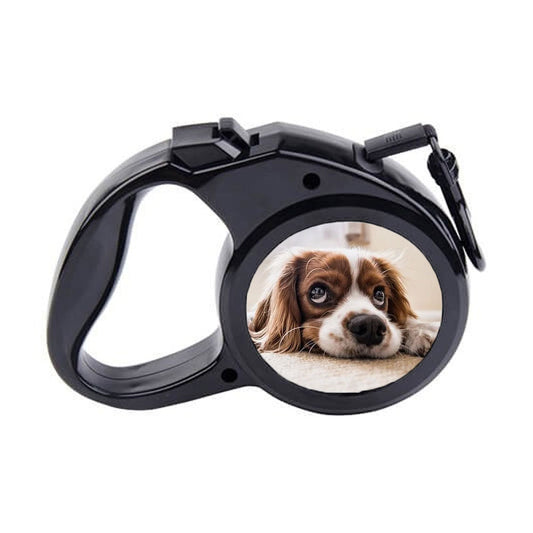 Lesă pentru animale personalizată 5m