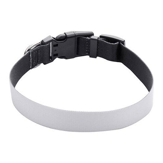 Zgardă personalizată pentru câine