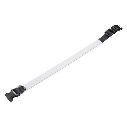 Zgardă personalizată pentru câine