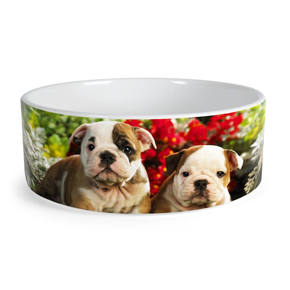 Bol personalizat din ceramică pentru câine