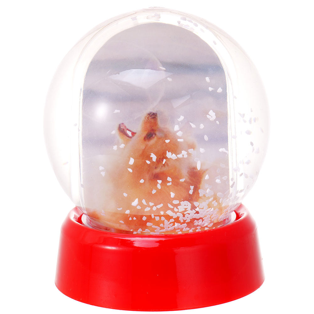 Glob foto Sferă cu zăpadă