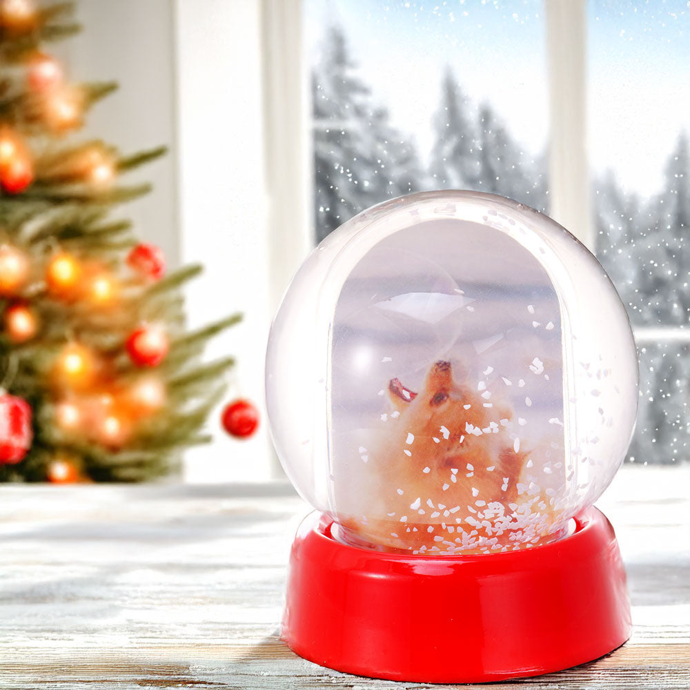 Glob foto Sferă cu zăpadă