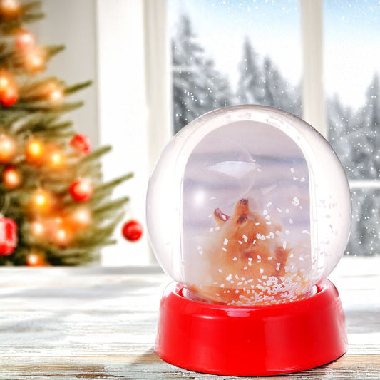 Glob foto Sferă cu zăpadă