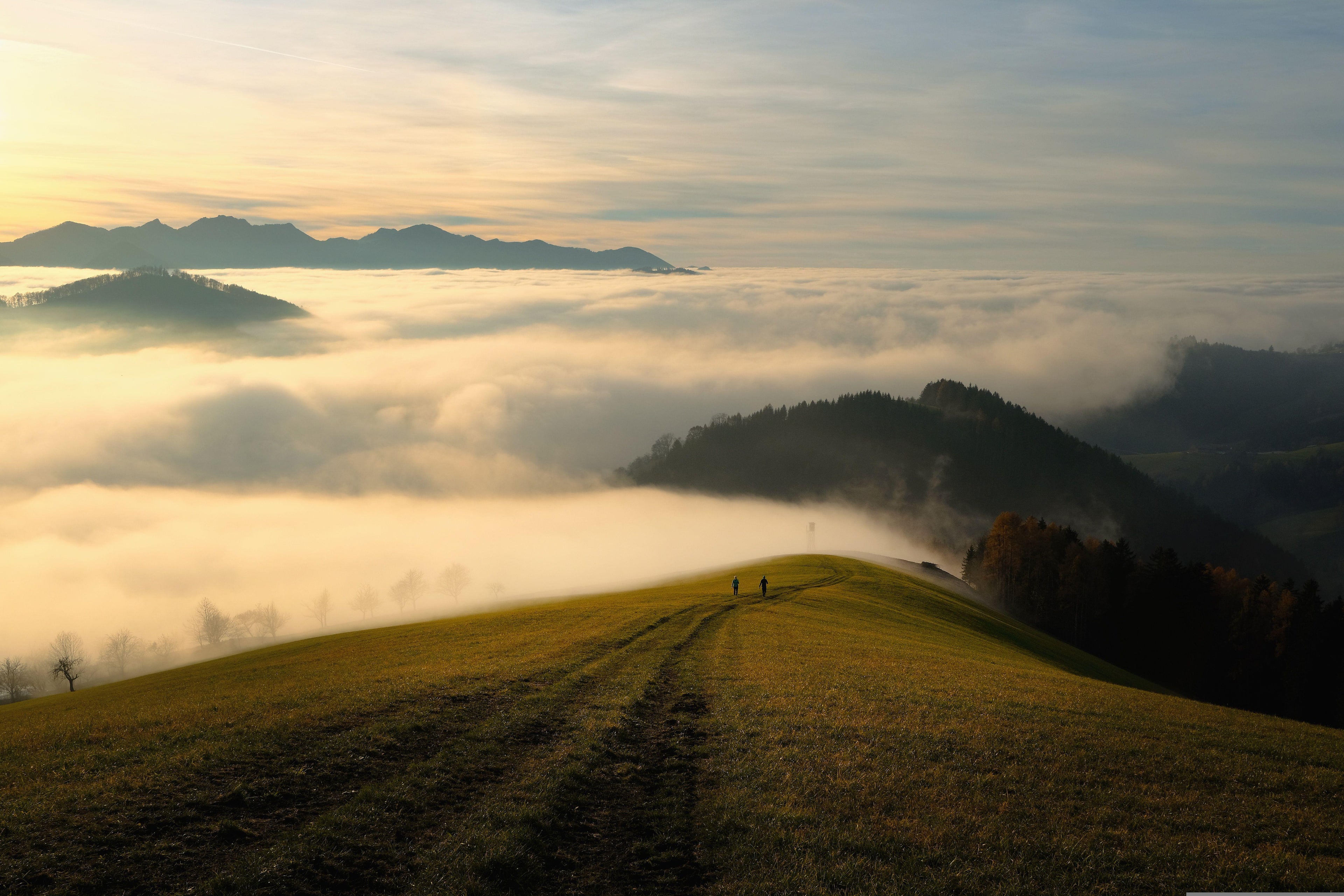 Tablou Canvas Peisaj Montan