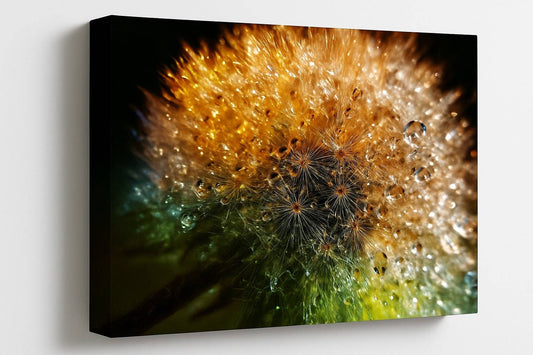 tablou canvas papadie