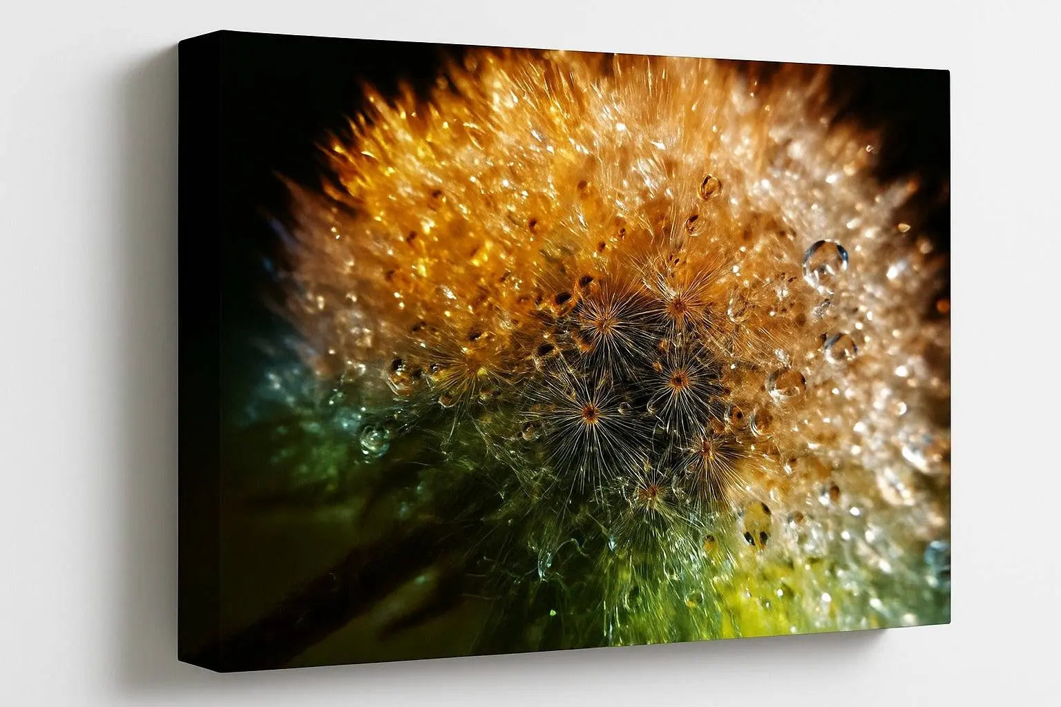 tablou canvas papadie